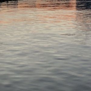 Meet your Posher, Luke